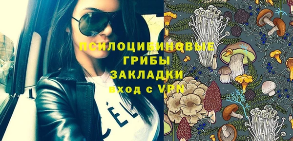 крисы Алексеевка