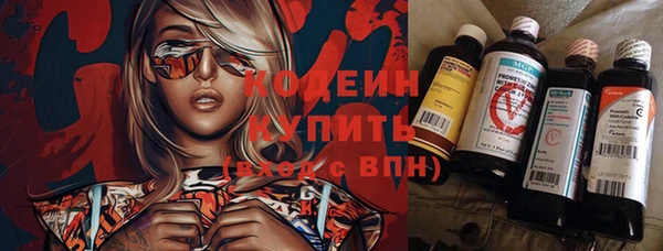 apvp Алексин