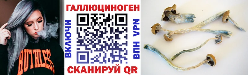 MEGA зеркало  Кыштым  Псилоцибиновые грибы MAGIC MUSHROOMS 