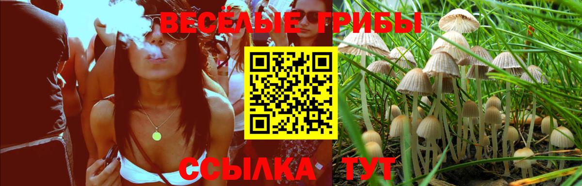 Псилоцибиновые грибы Psilocybe  Вход с VPN  Кыштым 